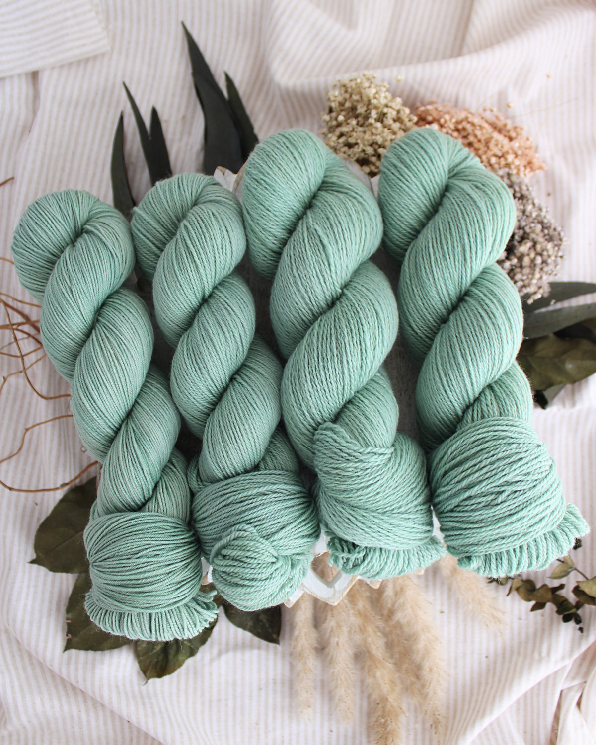 Ceres PRE-ORDER