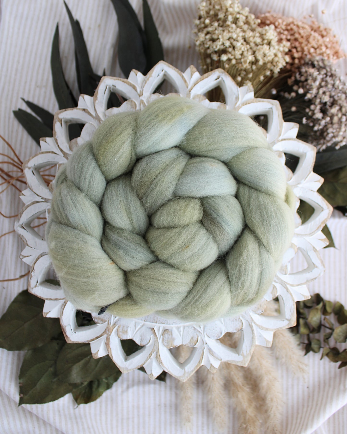 American Rambouillet Combed Top - In Stock