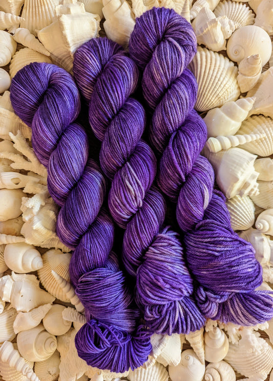 Apo Reef - Wholesale