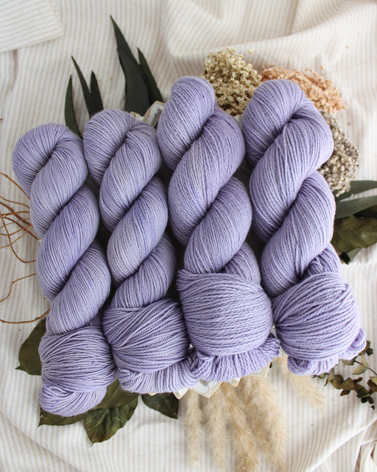 Wisteria PRE-ORDER
