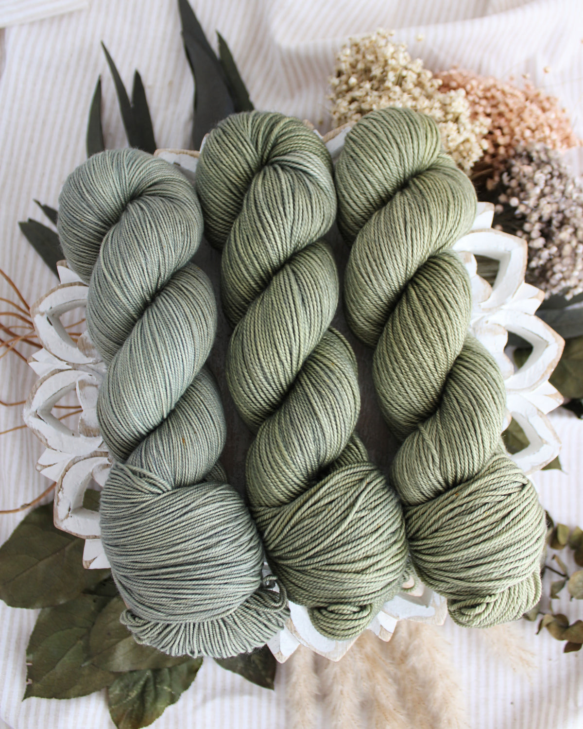Olive Branch PRE-ORDER