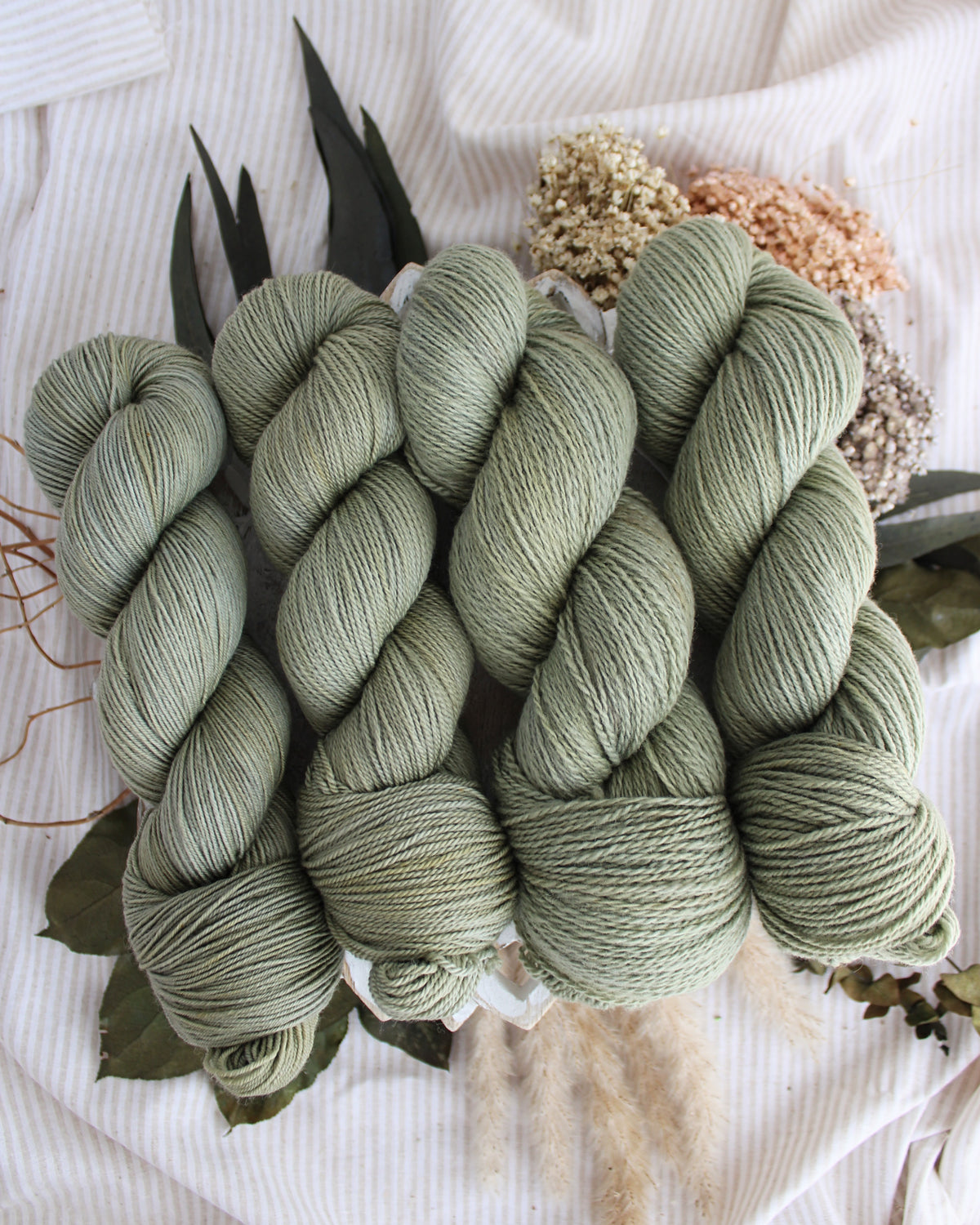 Olive Branch PRE-ORDER