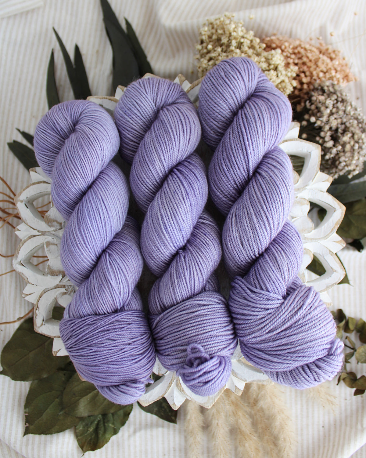 Wisteria PRE-ORDER